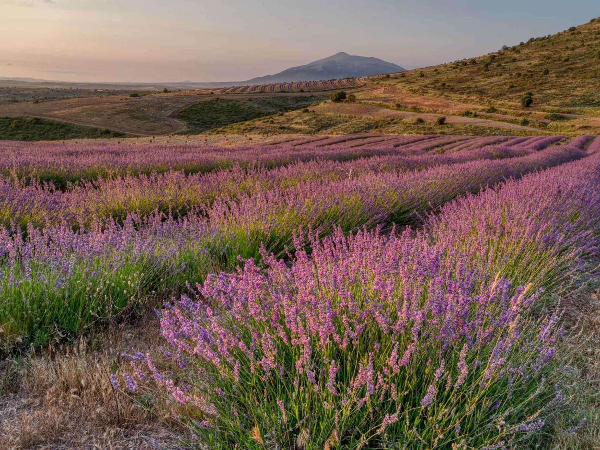 Las Abadias San Felices de los Gallegos Exteriér fotografie